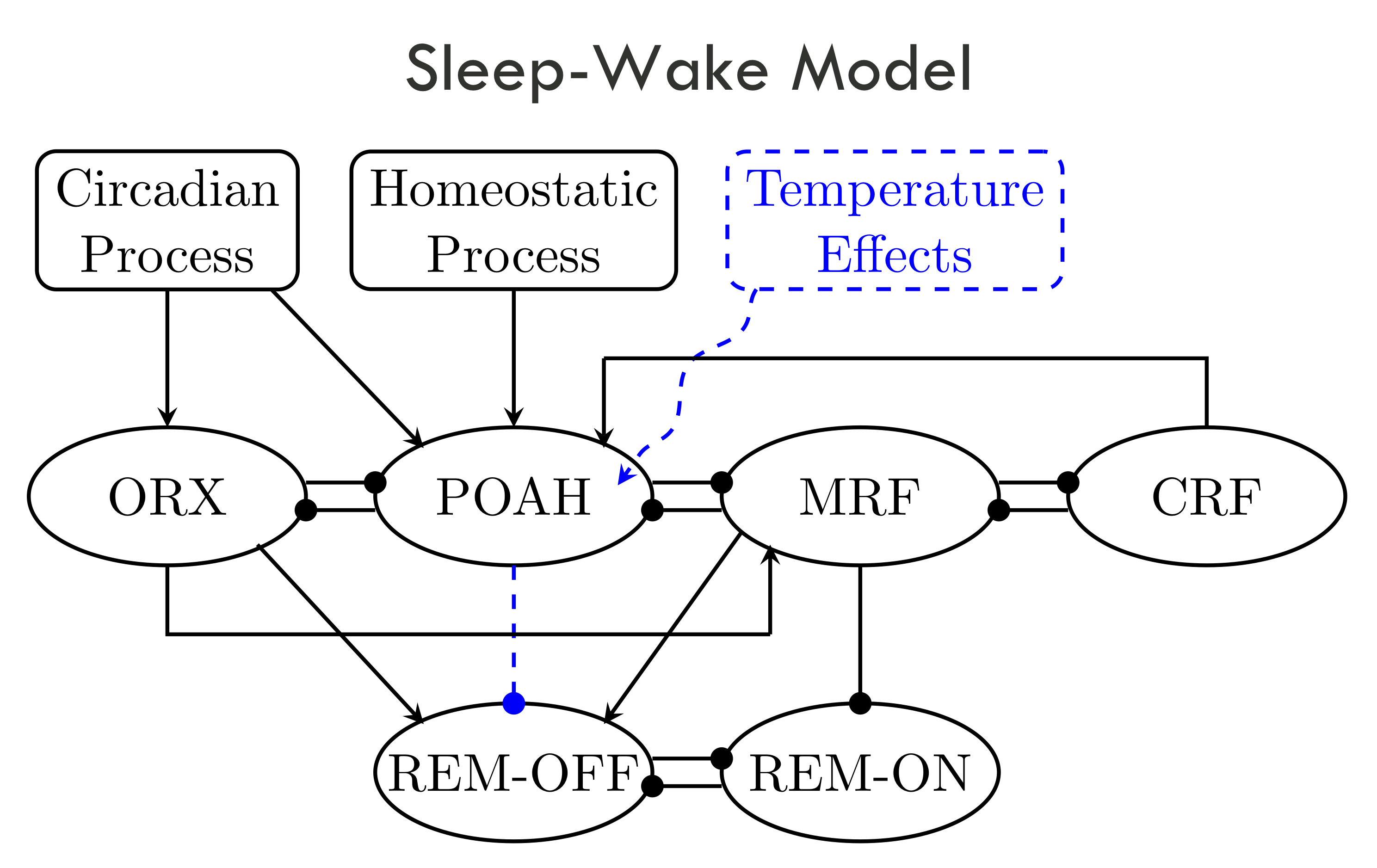 Sleep Model